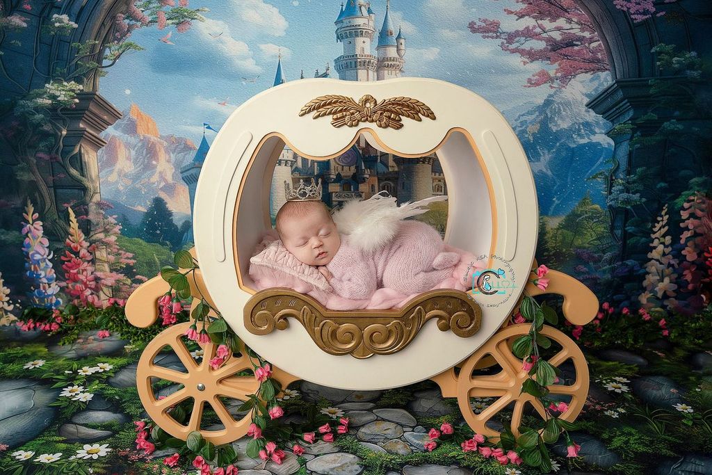 Fairytale Welcome Combo