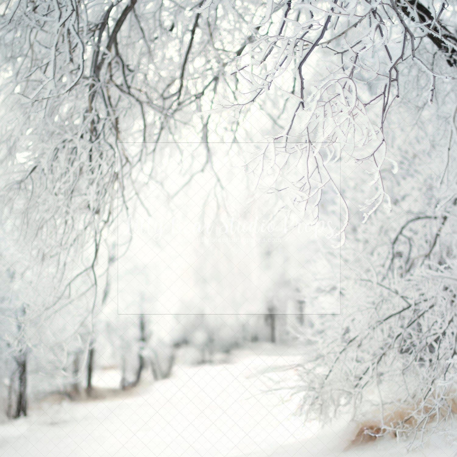 Frosty Lane - Sweep Option