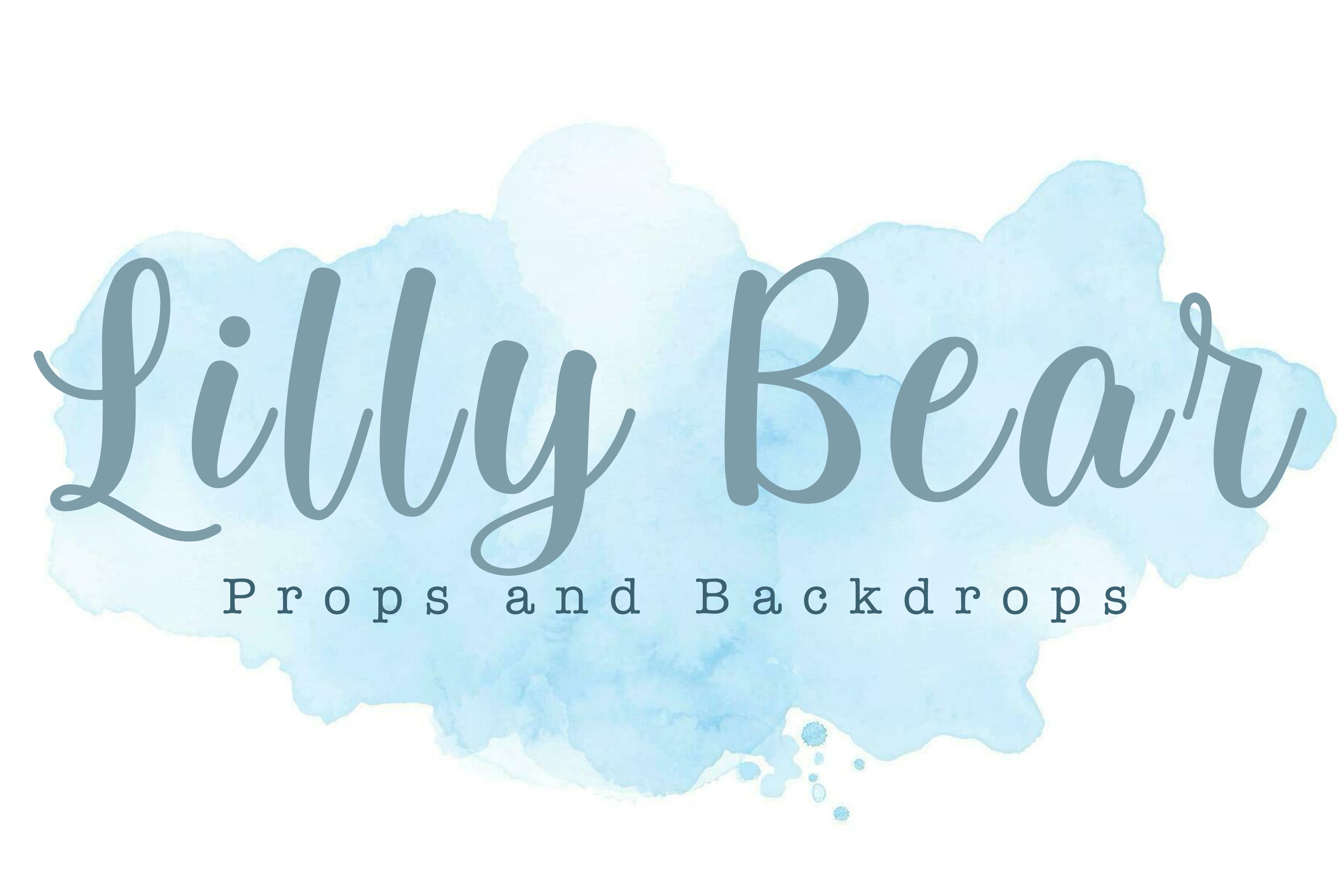 Lilly Bear Studio Props