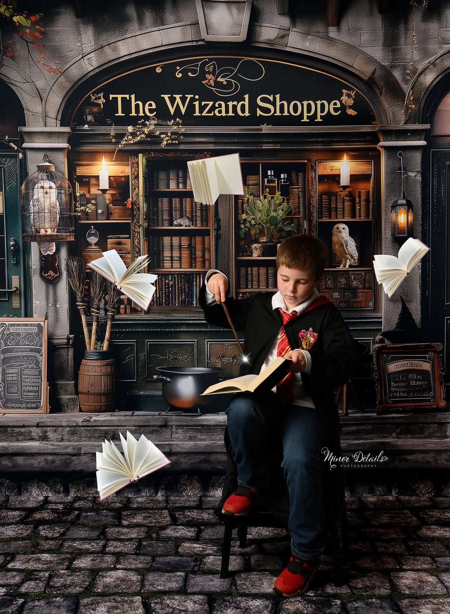 The Wizard Shoppe & Mossy Cobblestones Combo