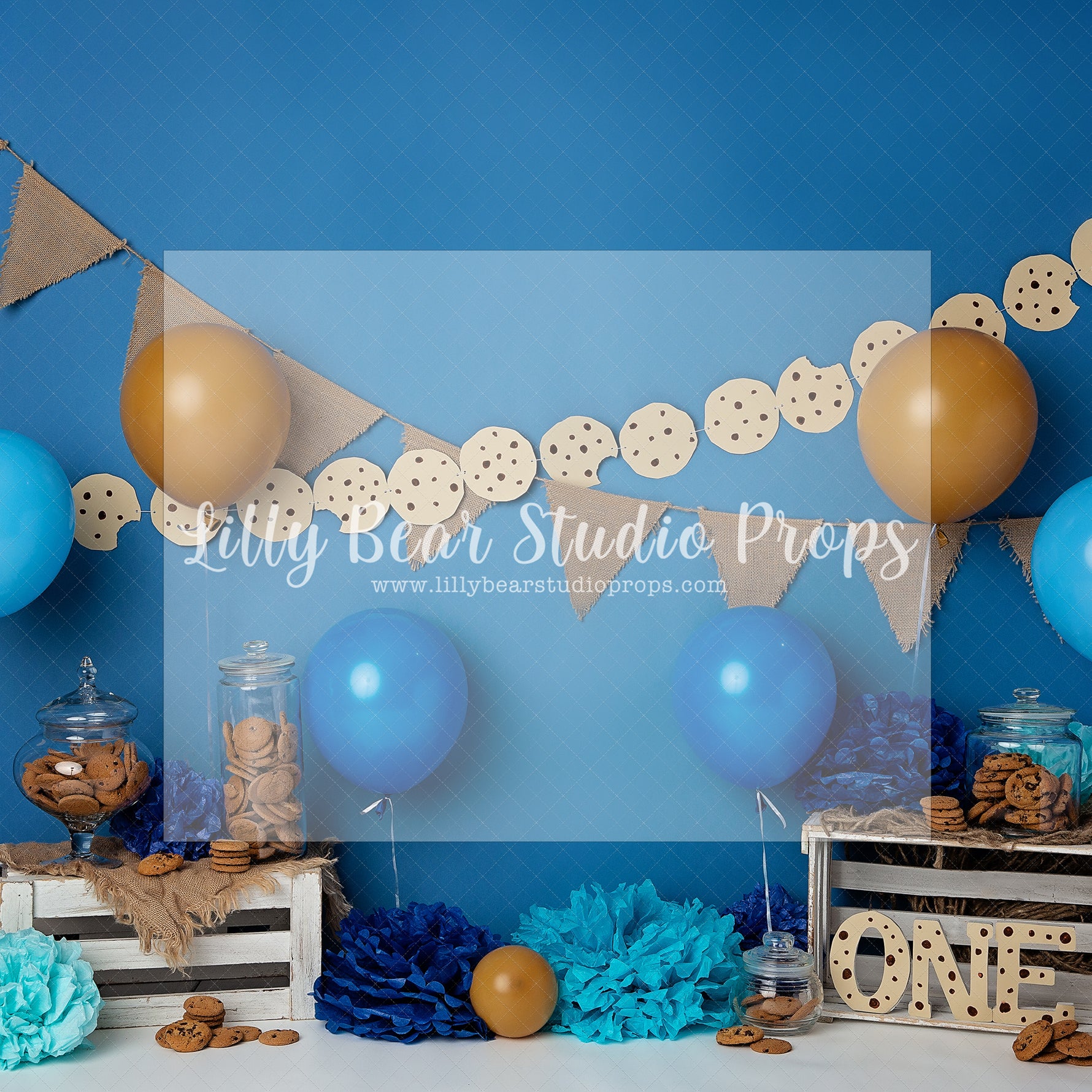 All You Need Are Cookies - Lilly Bear Studio Props, balloons, Boy cake smash, cake smash, cookie monster, seasme street