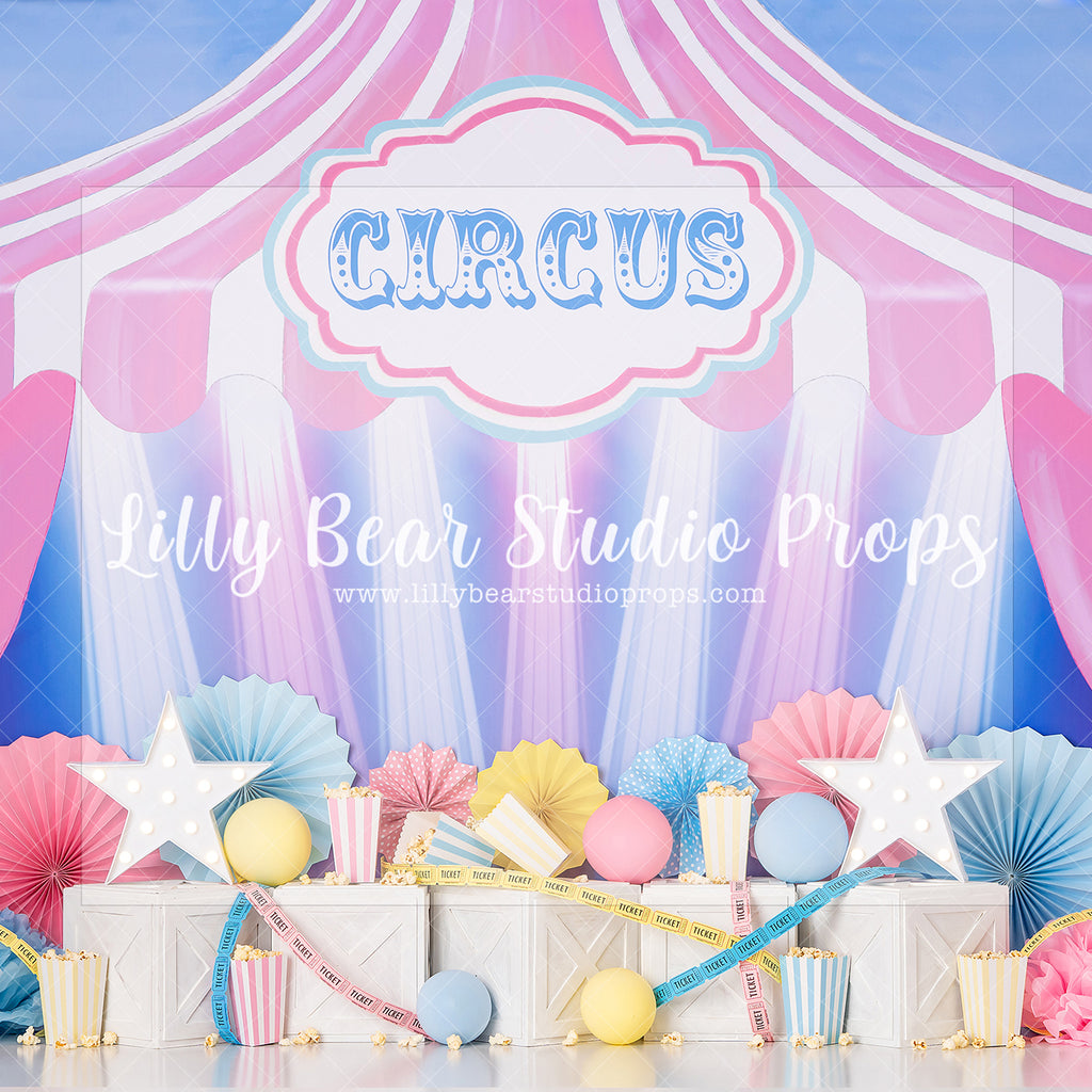Circus Pastel Stars - Lilly Bear Studio Props, balloon, big top, circus, disney, disney world, disneyland, dumbo, FABRICS, first birthday, girl, kids toys, matel, pink and blue