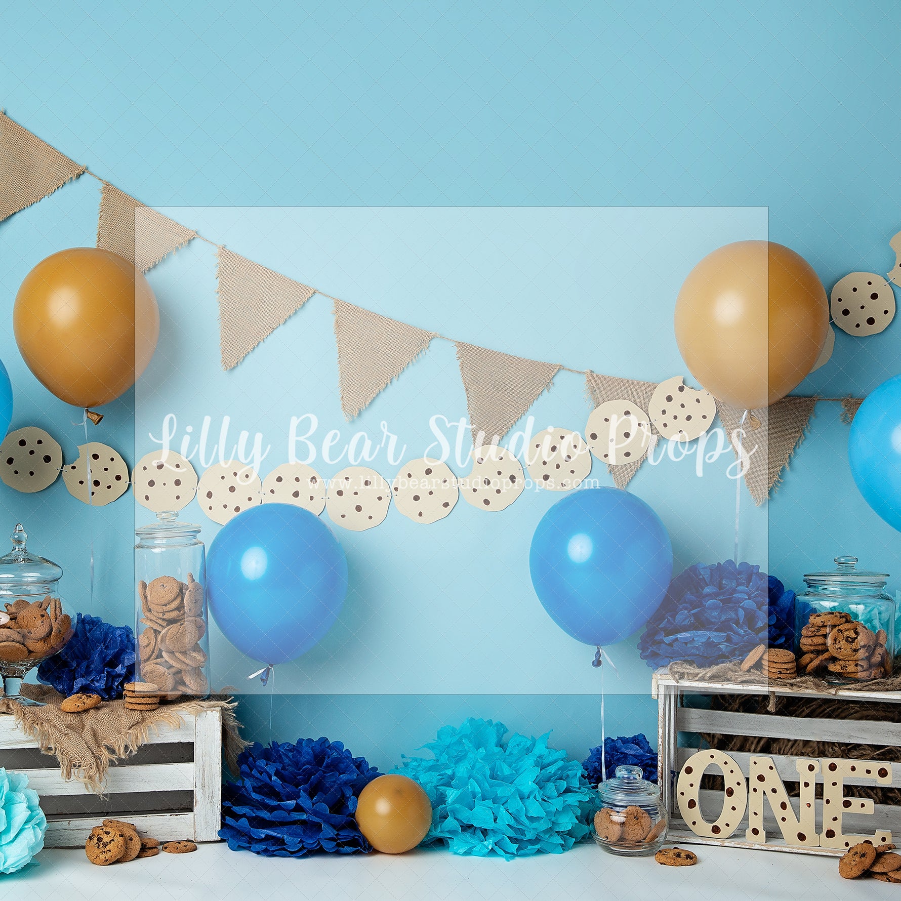 Cookie Jar Party - Lilly Bear Studio Props, balloons, Boy cake smash, cake smash, chocolate chip, chocolate chip cookies, chocolate jar, cookie monster, cookies, seasme street