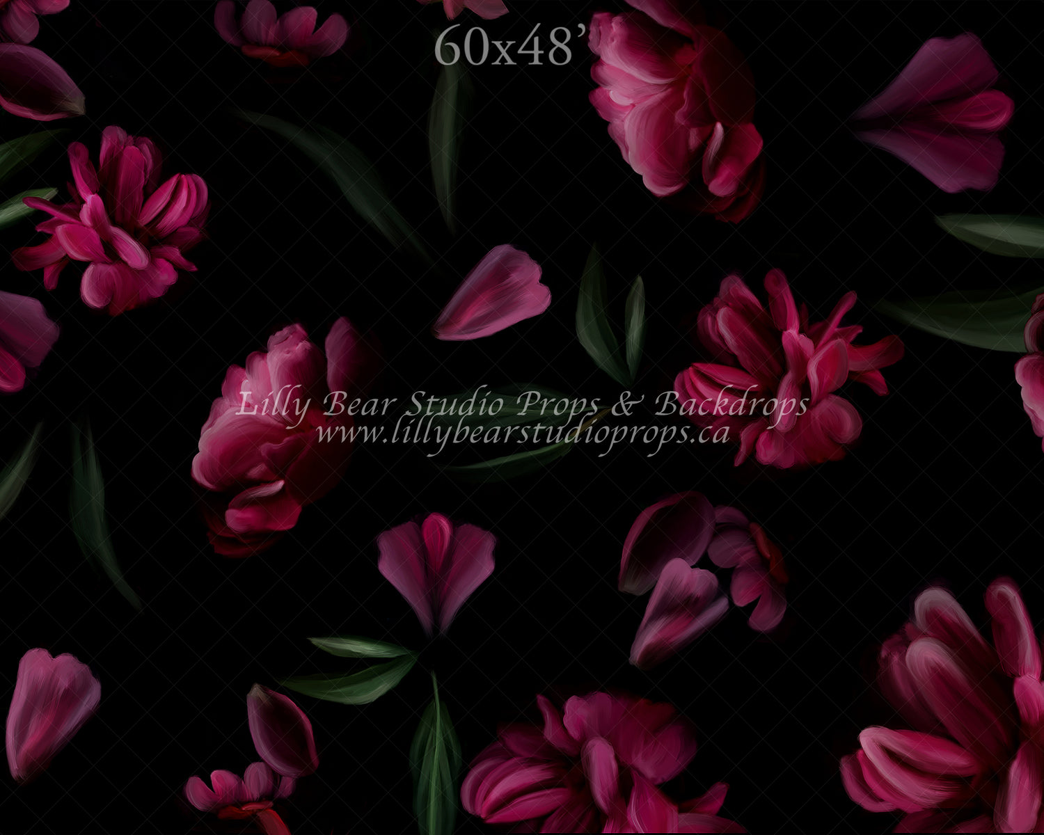 Cressida by Jessica Ruth Photography sold by Lilly Bear Studio Props, fine art - floral - girls - hand painted