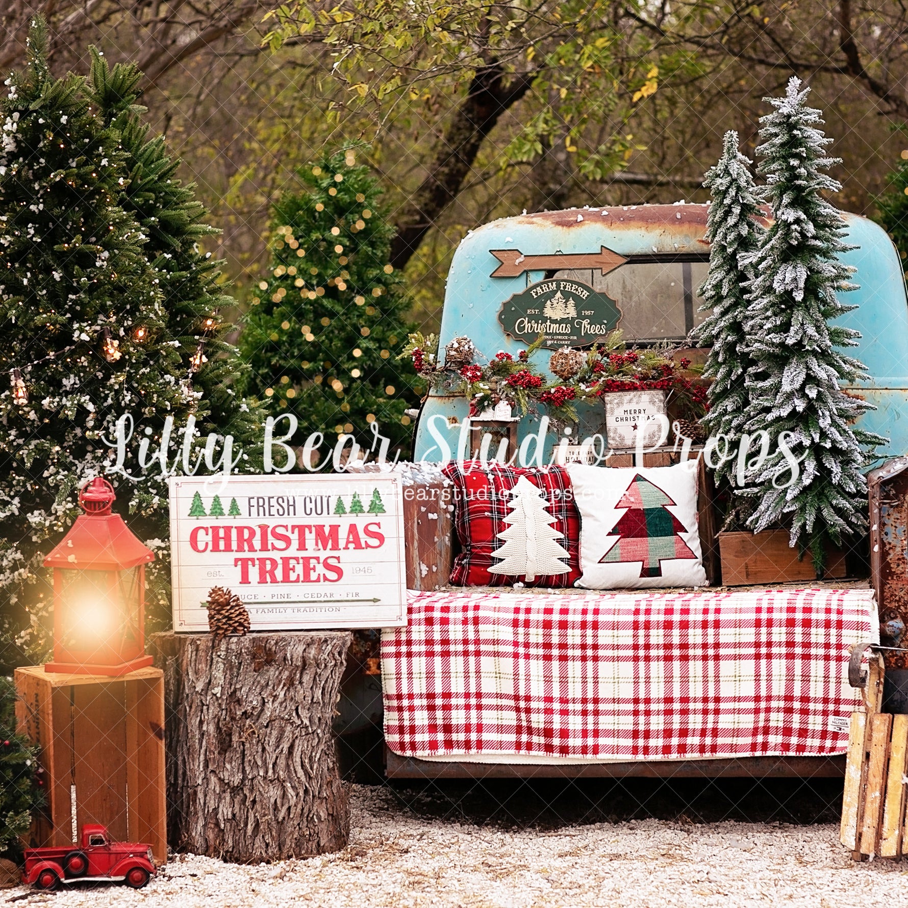 Fresh Cut Christmas Trees - Lilly Bear Studio Props, animals, autumn forest, dark forest, enchanted forest, Fabric, FABRICS, fall forest, forest, forest animals, forest entry, forest floor, forest friends, forest painting, fox, green forest, into the wild, lanterns, little wild one, misty forest, moon, moonlight, moonlight forest, night forest, nighttime, owl, pine forest, pine tree, pine tree forest, pine trees, raccoon, where the wild things are, wild, wild animal, wild one, wild things, woodland forest