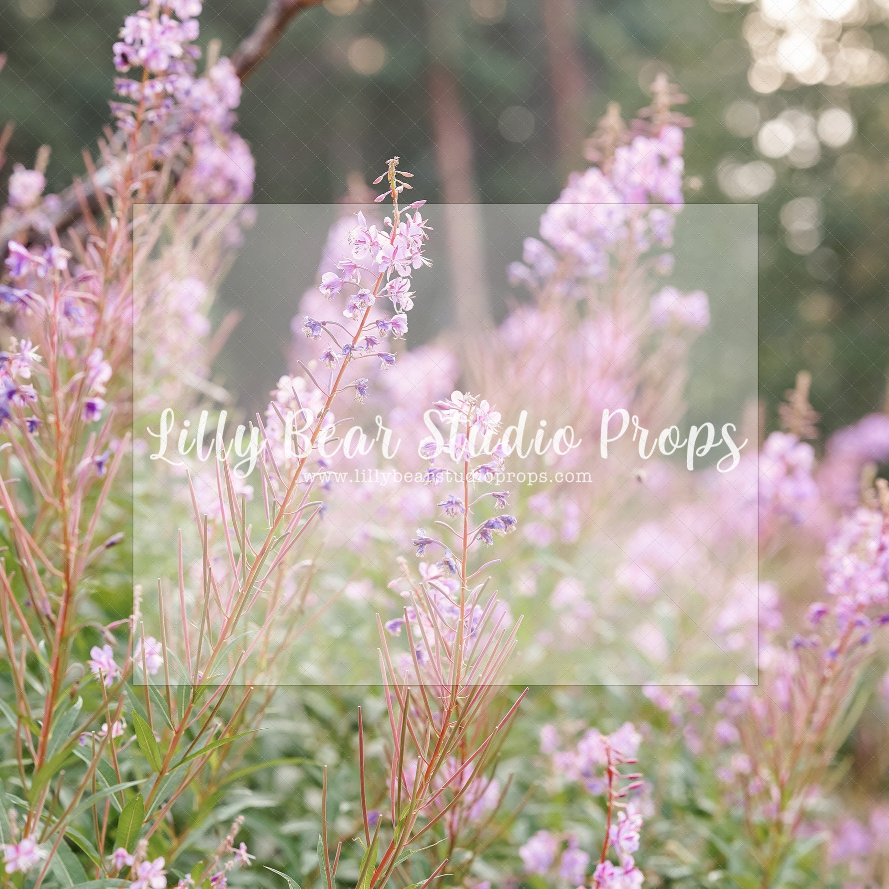 Lavender Blooms - Lilly Bear Studio Props, floral, flower grass