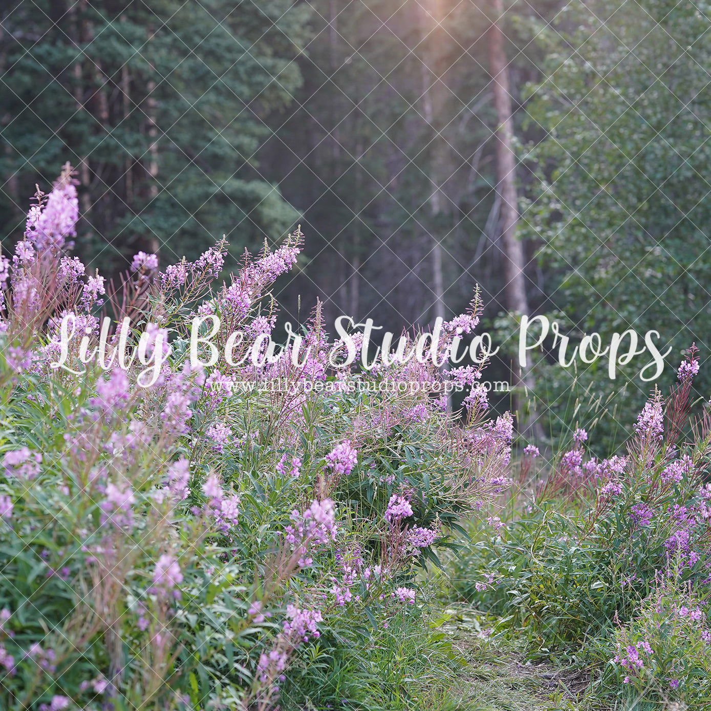 Purple Wild Flowers - Lilly Bear Studio Props, bloom, boho garden, floral, floral field, flower, flower field, flowers, green, large flowers, purple blooms, purple flowers, spring, spring floral, spring flowers, springtime, wild flower field, wild flowers