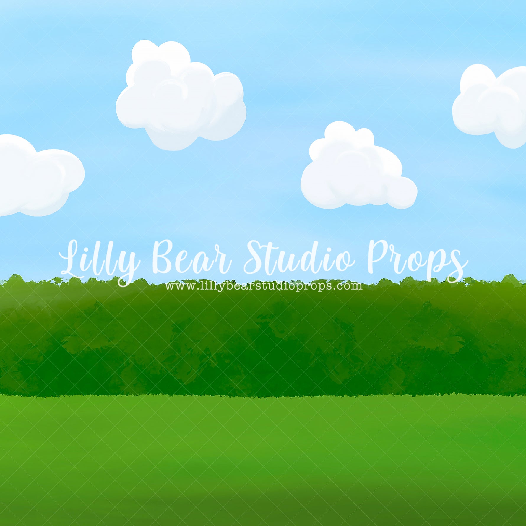 Snoopys Garden by Jessica Ruth Photography sold by Lilly Bear Studio Props, blue sky - boys - cake smash - charlie brow