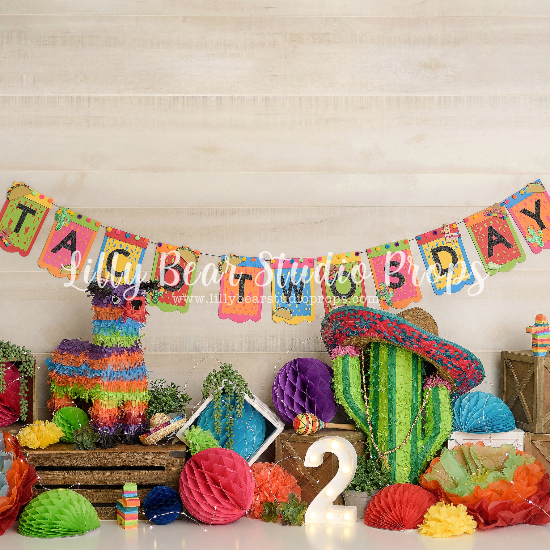 Taco Tuesday by Sweet Memories Photos By Carolyn sold by Lilly Bear Studio Props, birthday - boy - cake smash - FABRICS