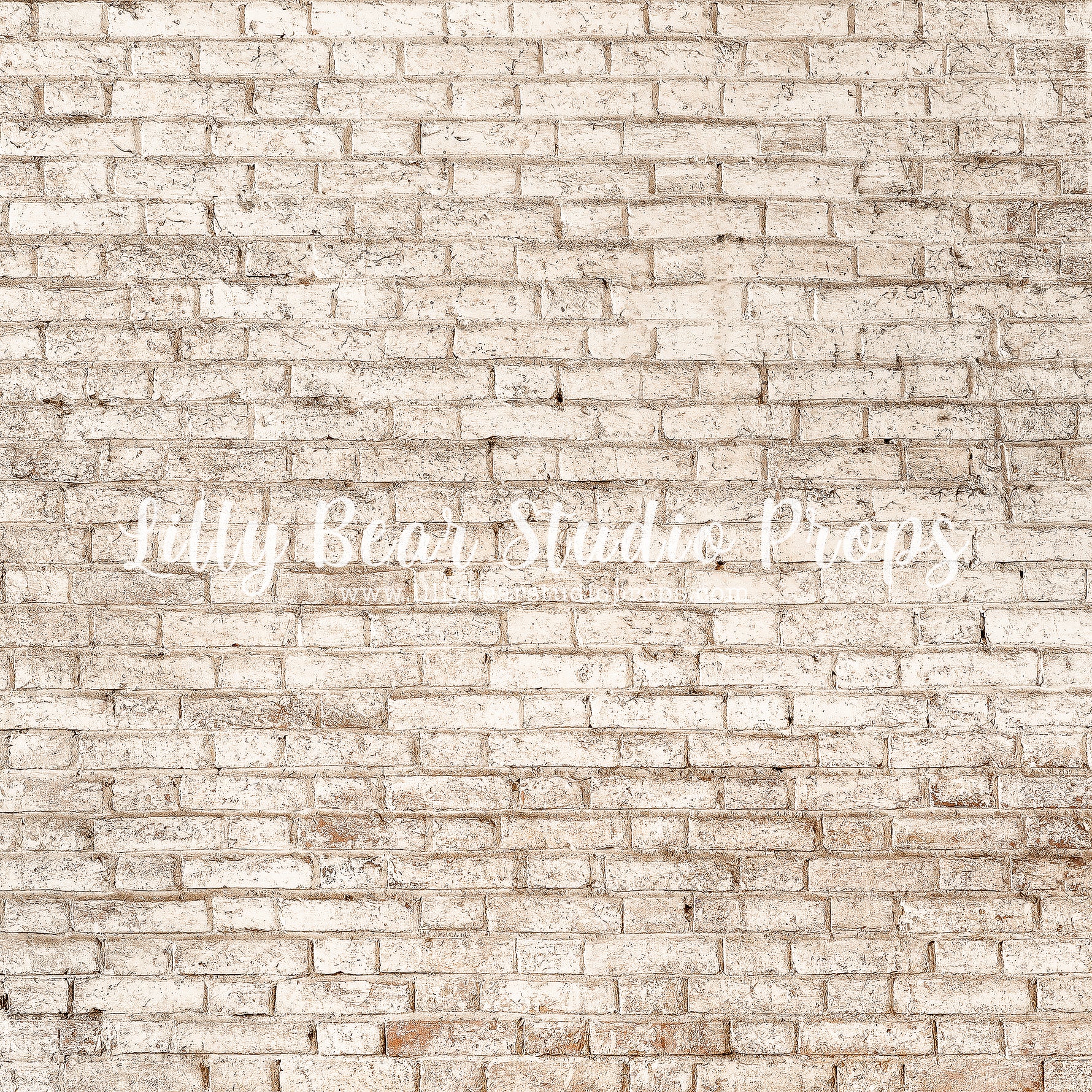 Tucson Brick by Lilly Bear Studio Props sold by Lilly Bear Studio Props, backdrop - beige - beige brick - beige texture