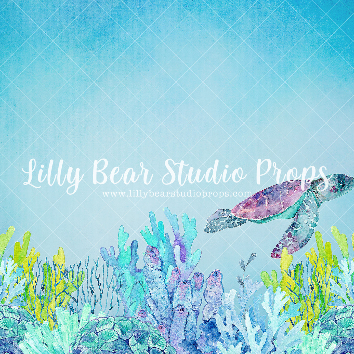 Under the Seaturtle - Lilly Bear Studio Props, creatures, fish, octopus, sea, sea shell, sea turtle, sea weed, sea world, seashell, turtle, under the ocean, under the sea, under water, undersea, underwater, underwater bubbles, water