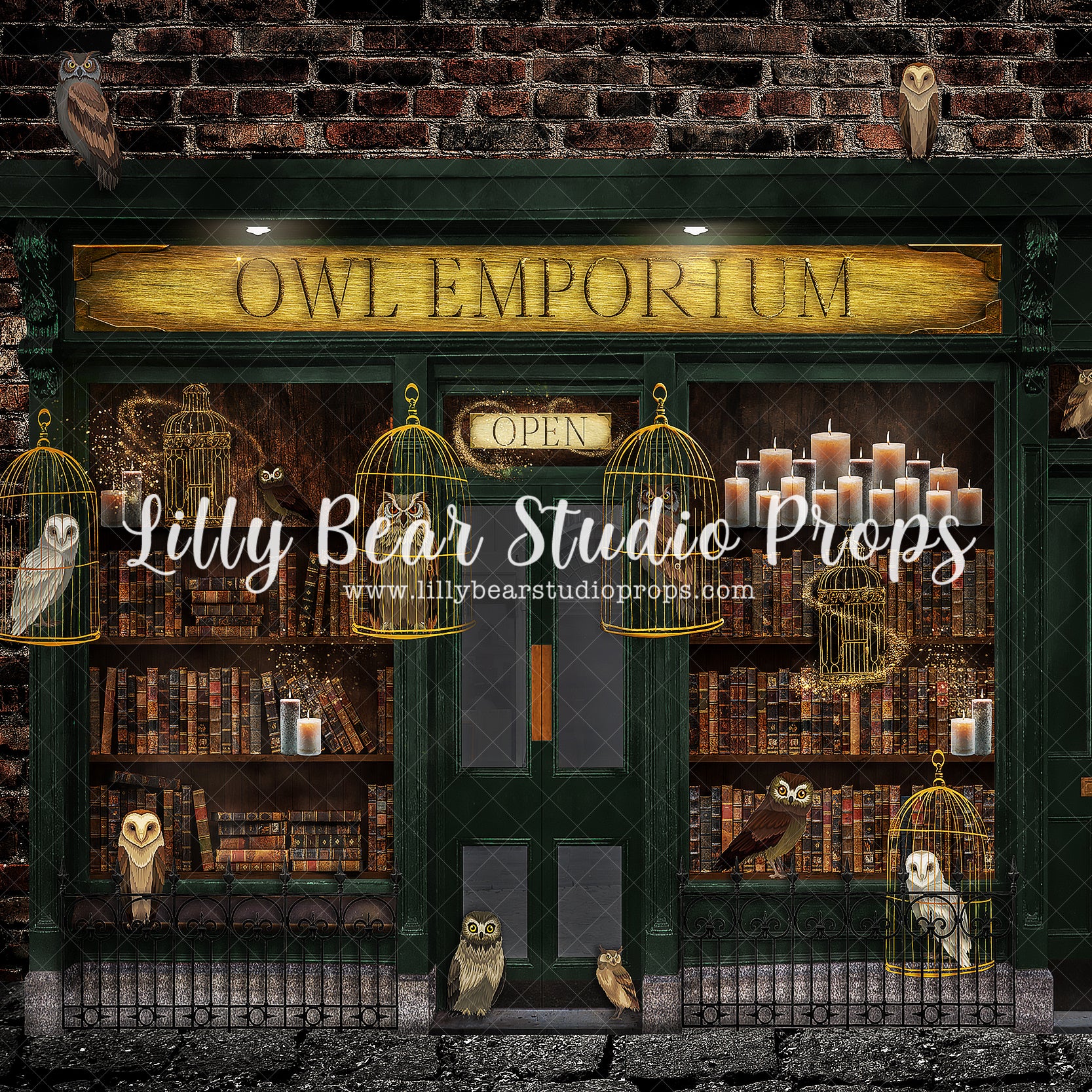 Wizards Owl Emporium by Brittany Ebany & Co. sold by Lilly Bear Studio Props, bird cage - books - bookshelf - candles