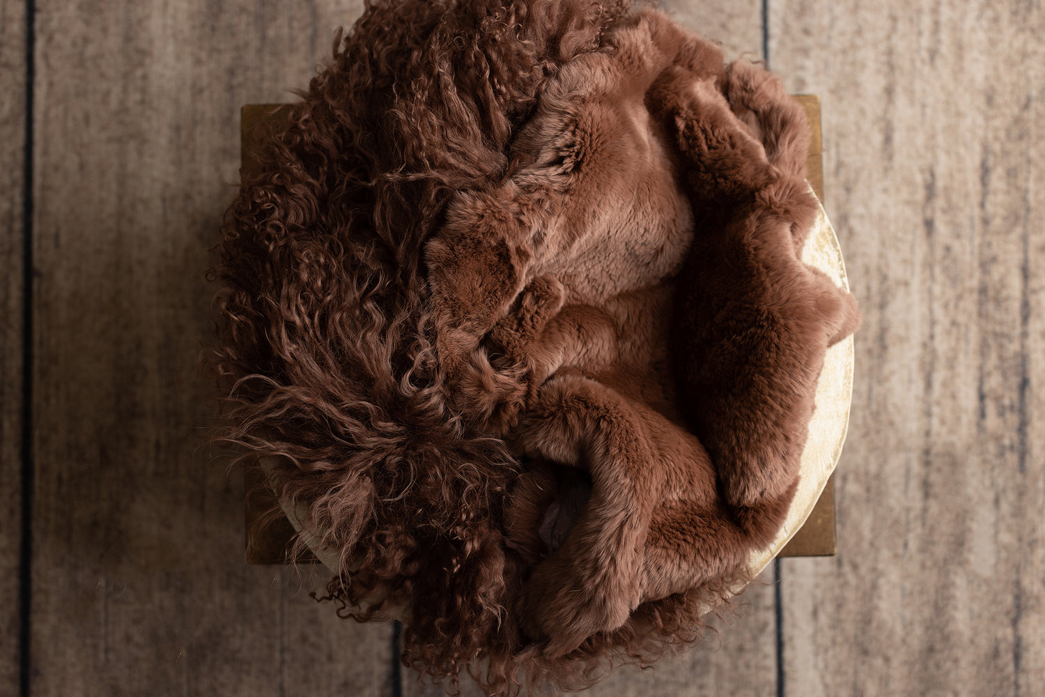 Chocolate Rabbit Fur & Sheep Skin