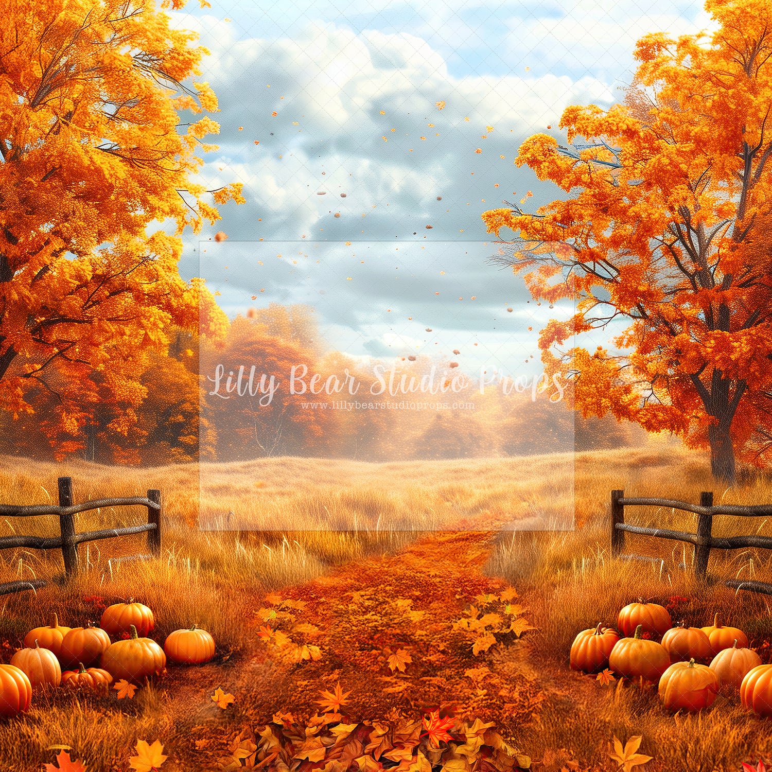 Autumn Field