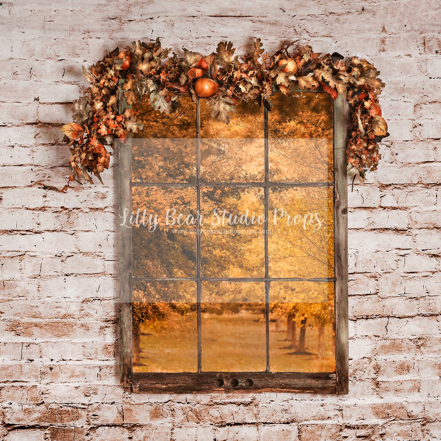 Autumn Path Window