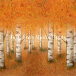 Autumn Woodlands by Jessica Ruth Photography sold by Lilly Bear Studio Props, autumn - boys - cake smash - fabric - fal