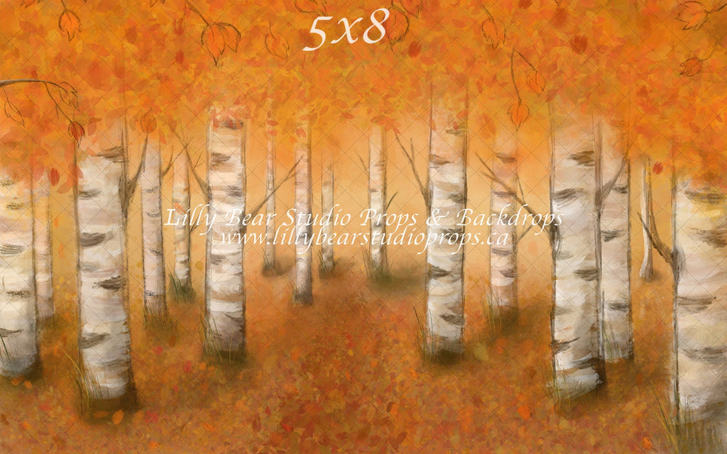 Autumn Woodlands by Jessica Ruth Photography sold by Lilly Bear Studio Props, autumn - boys - cake smash - fabric - fal