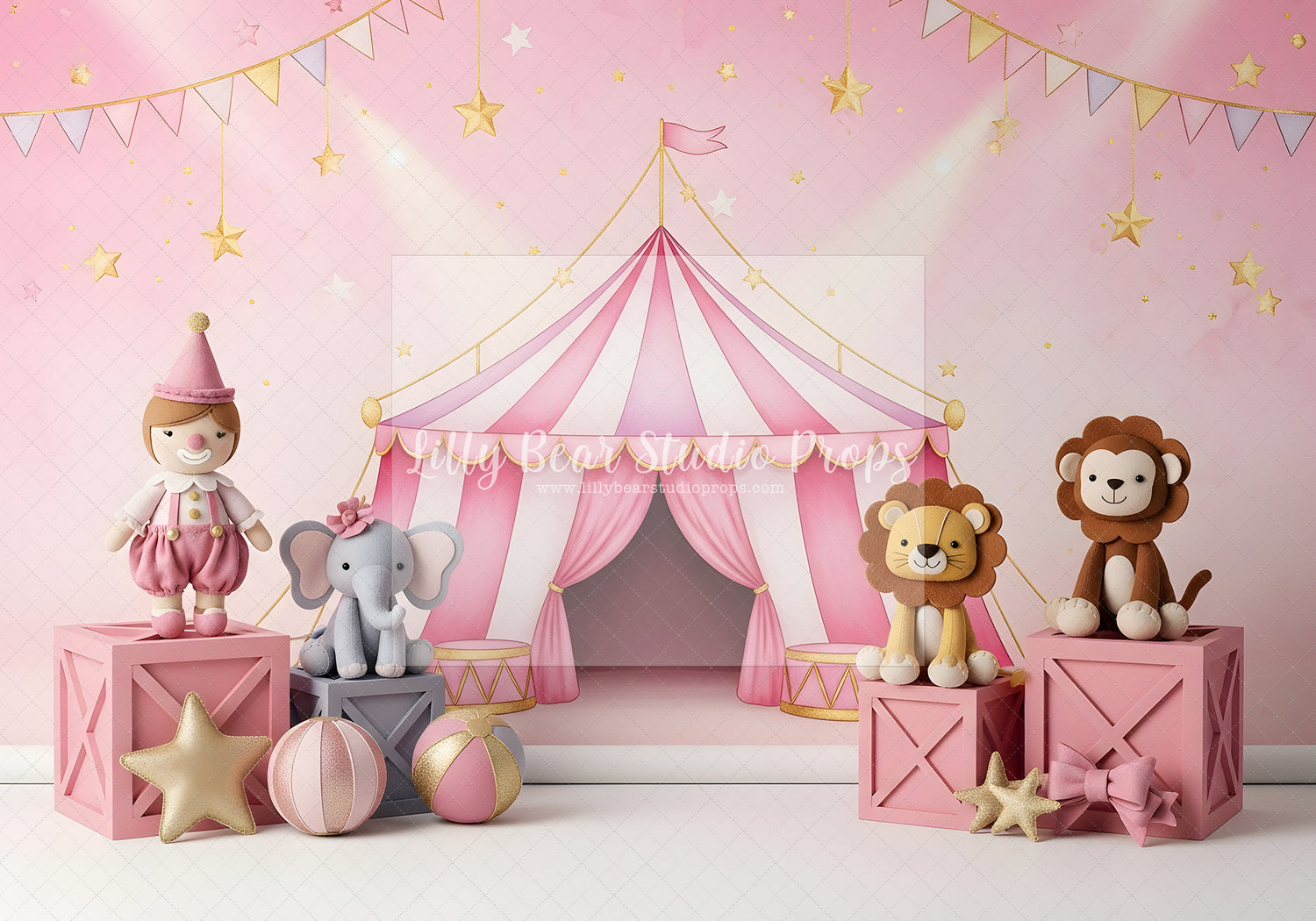 Blush Circus Celebration