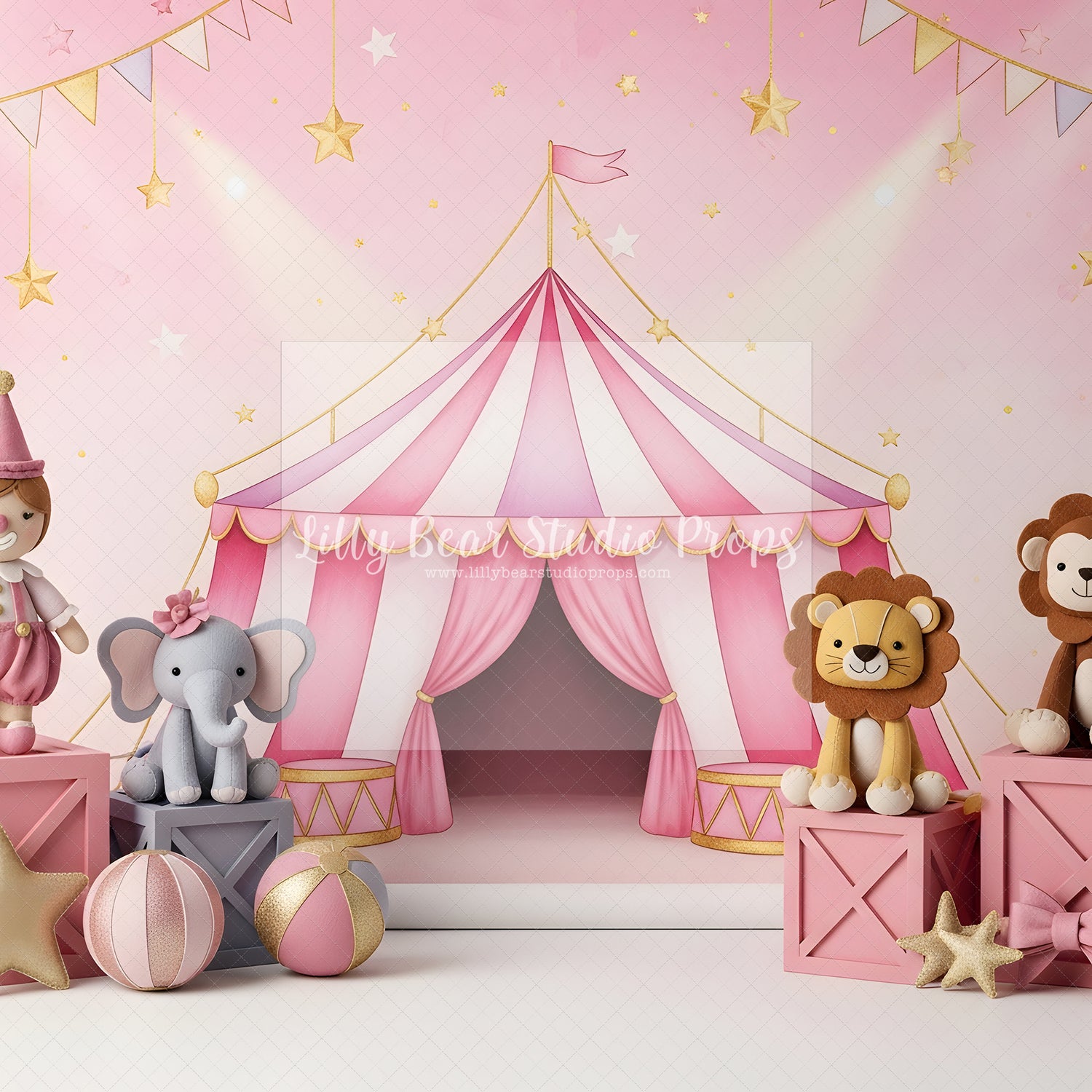 Blush Circus Celebration