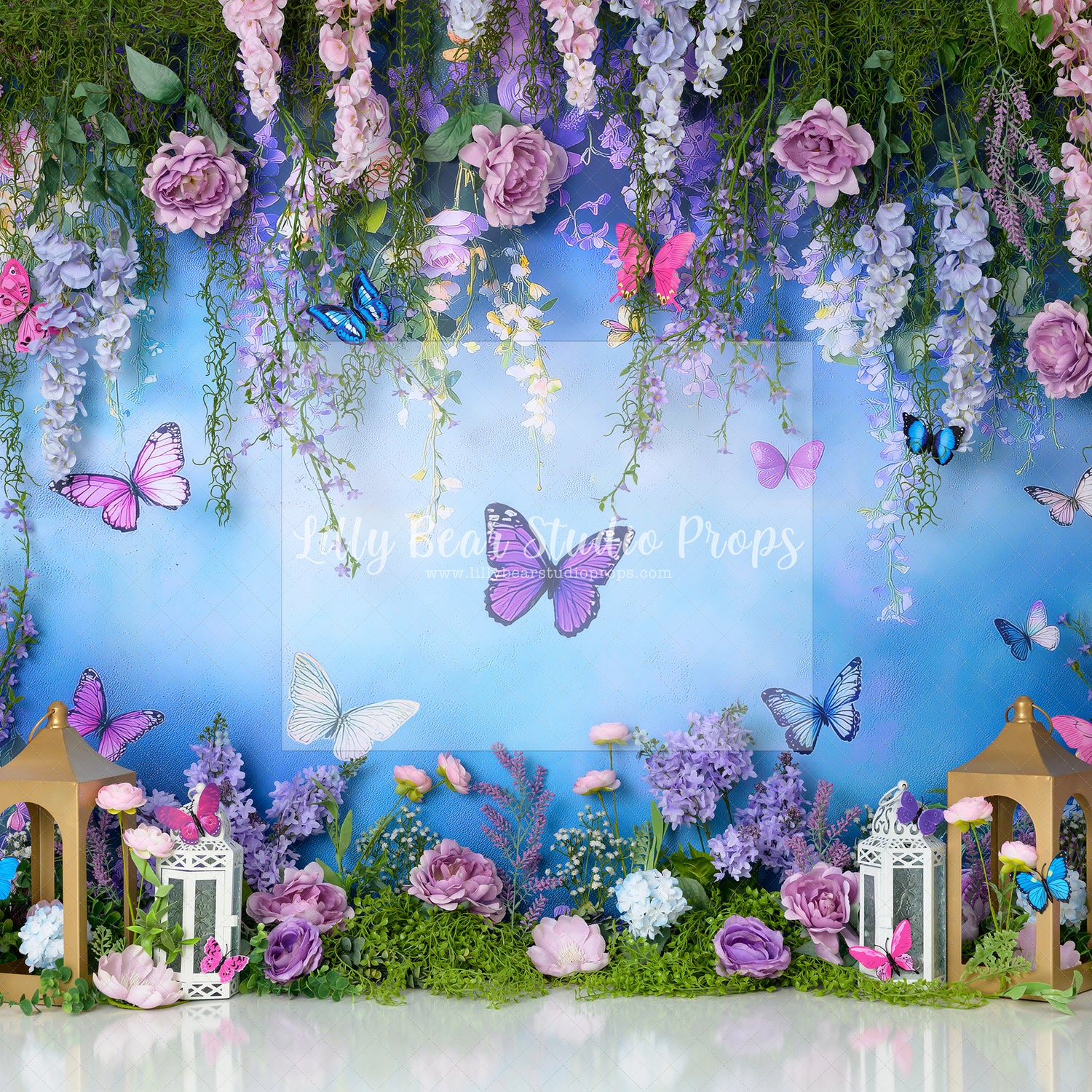 Bold & Beautiful Butterflies