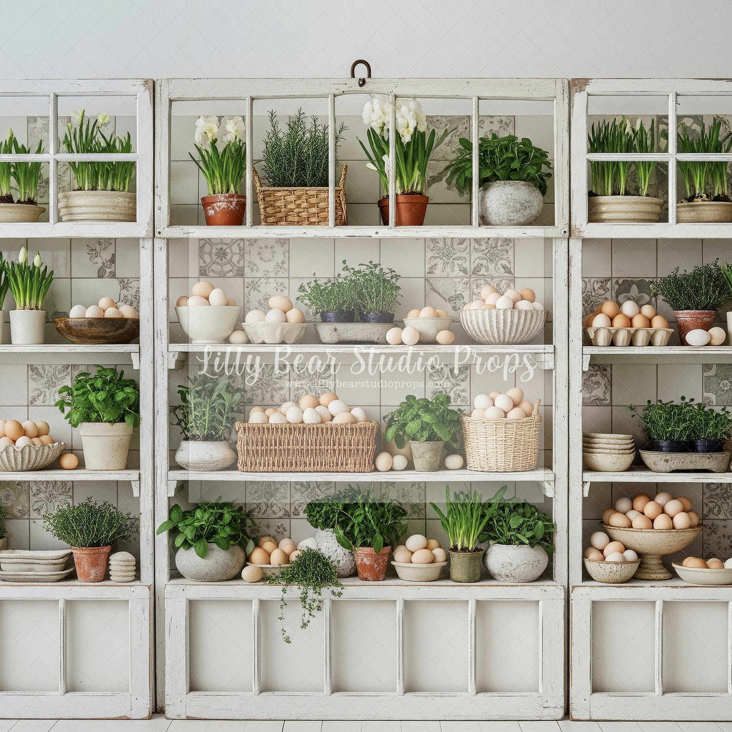 Botanical Pantry Wall