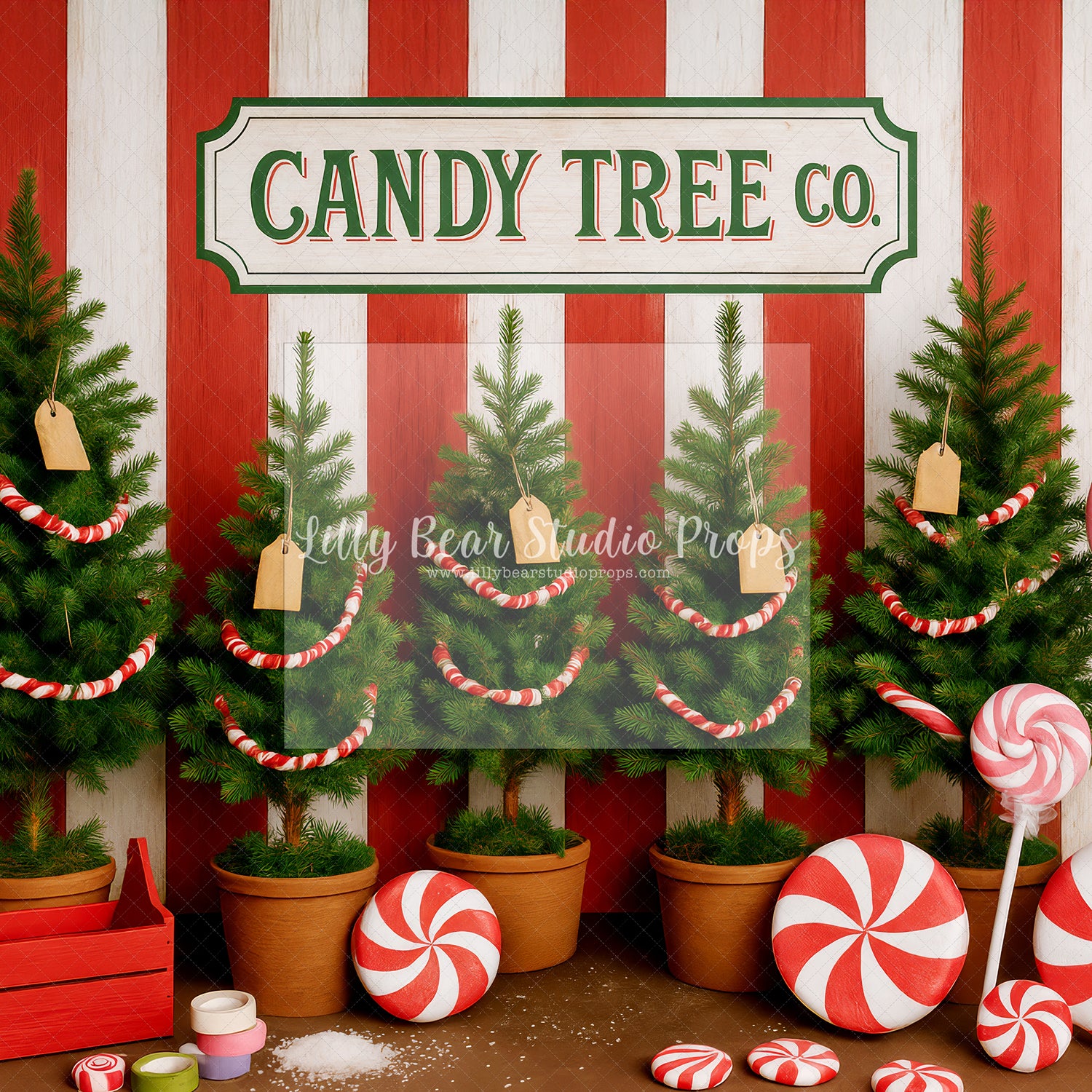 Candy Tree Co