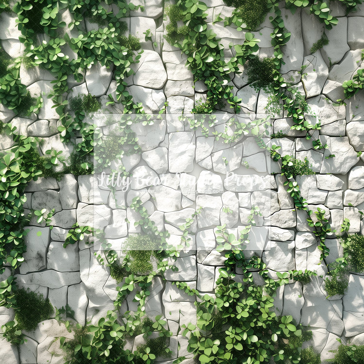Climbing Vines on White Stone Wall