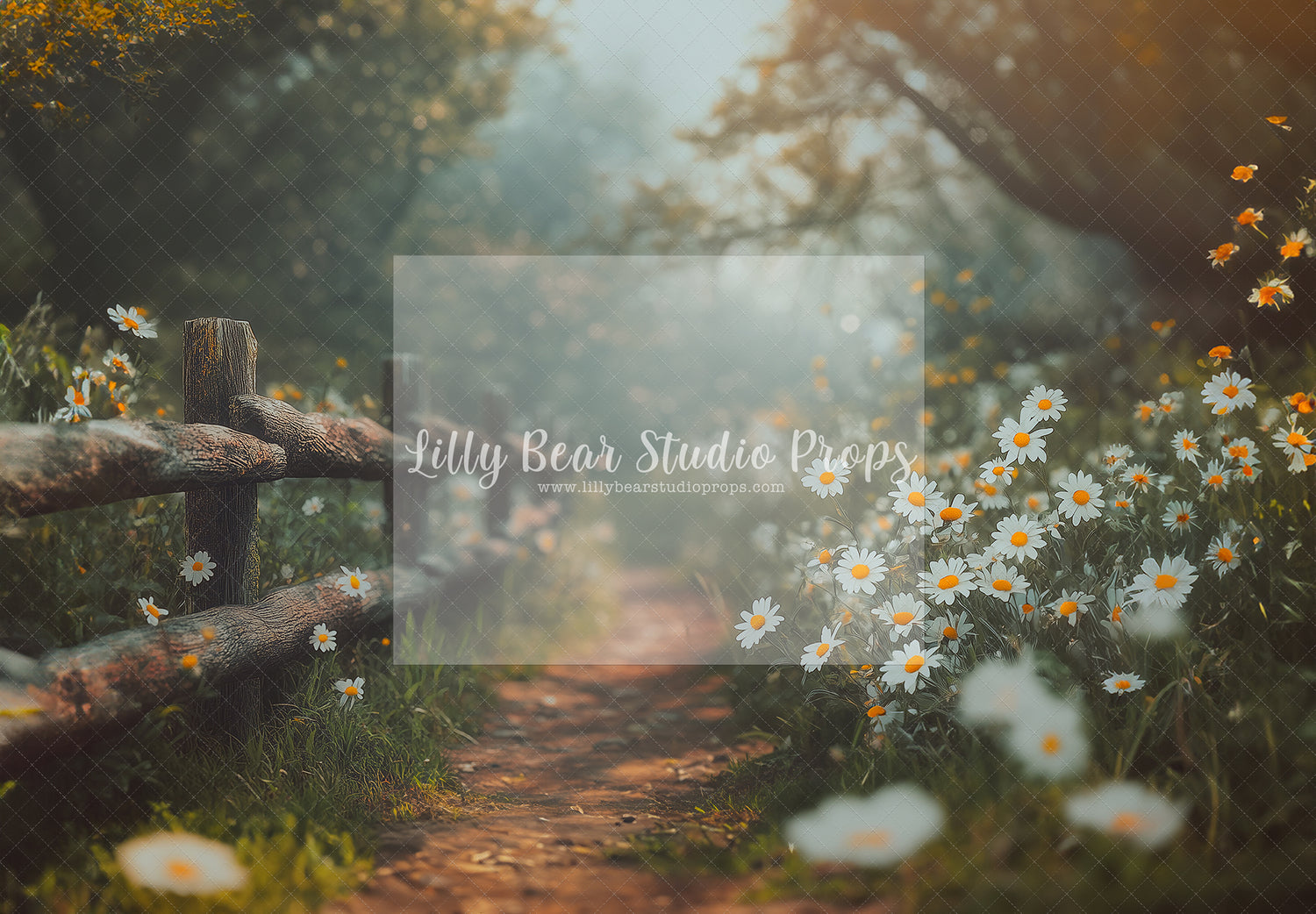 Daisy Path - TESTER