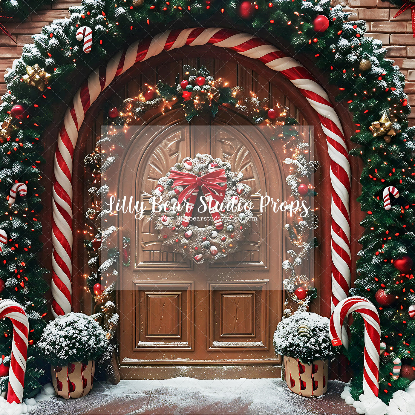 Enchanted Christmas Arch Entry