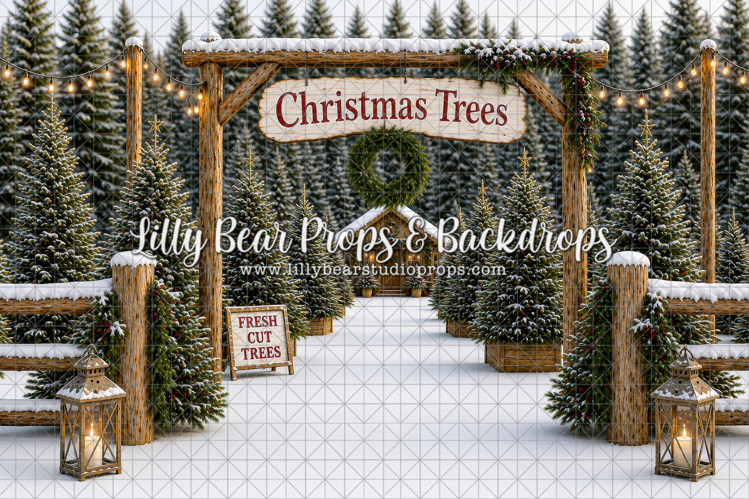 Evergreen Tree Lot
