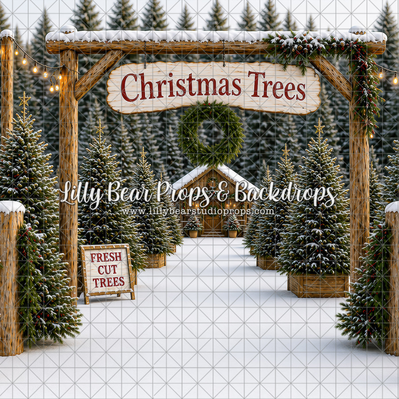Evergreen Tree Lot