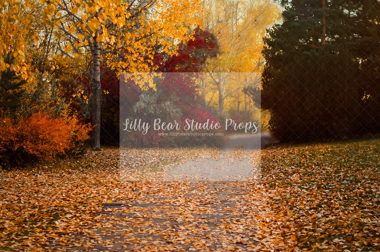 Fall Pathway