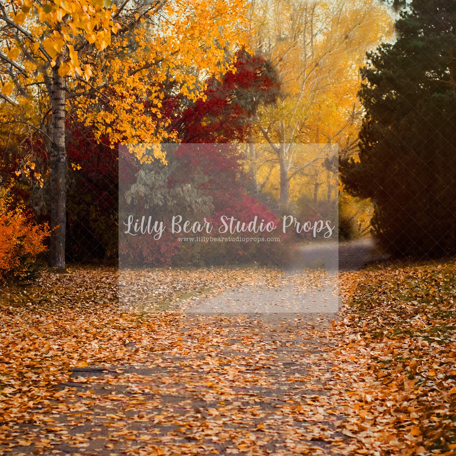 Fall Pathway
