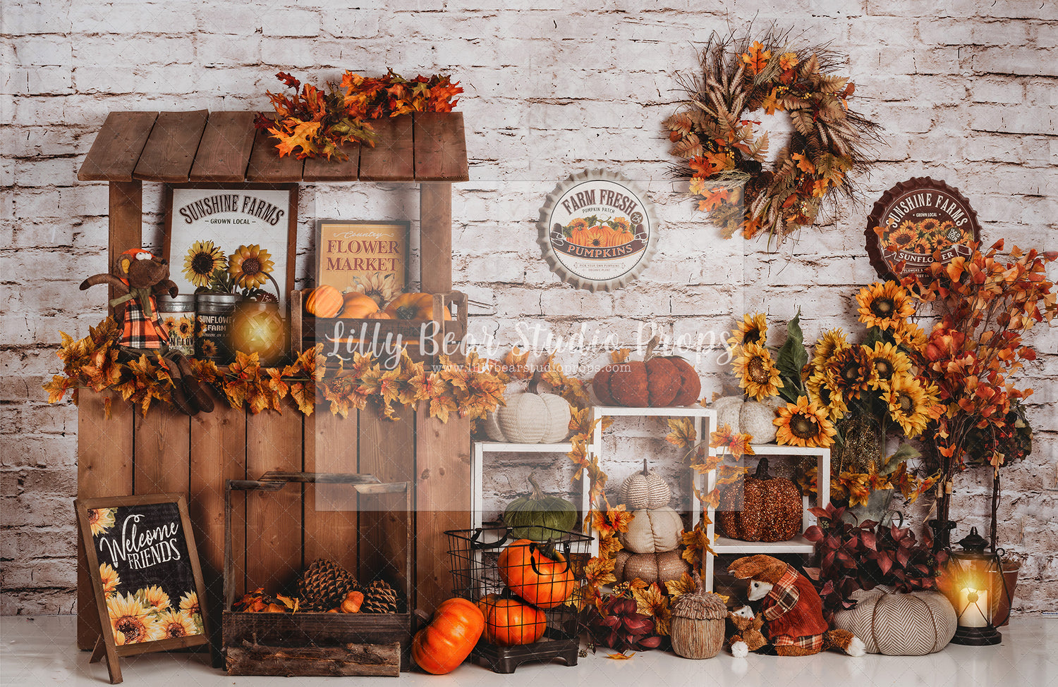 Fall Sunshine Farm