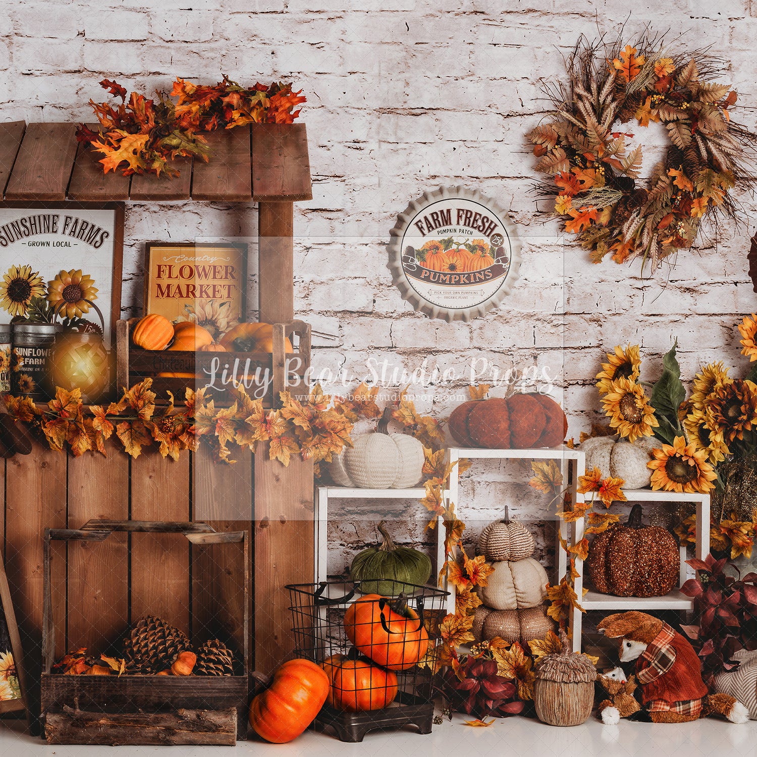 Fall Sunshine Farm
