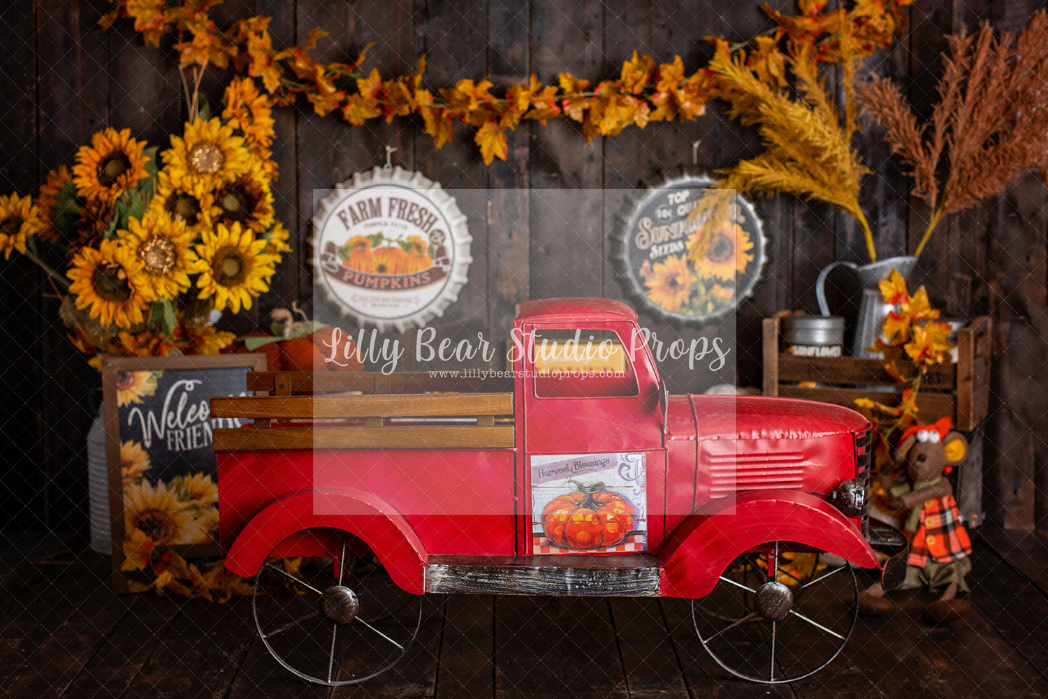Farm Fresh Pumpkins & Sunflowers