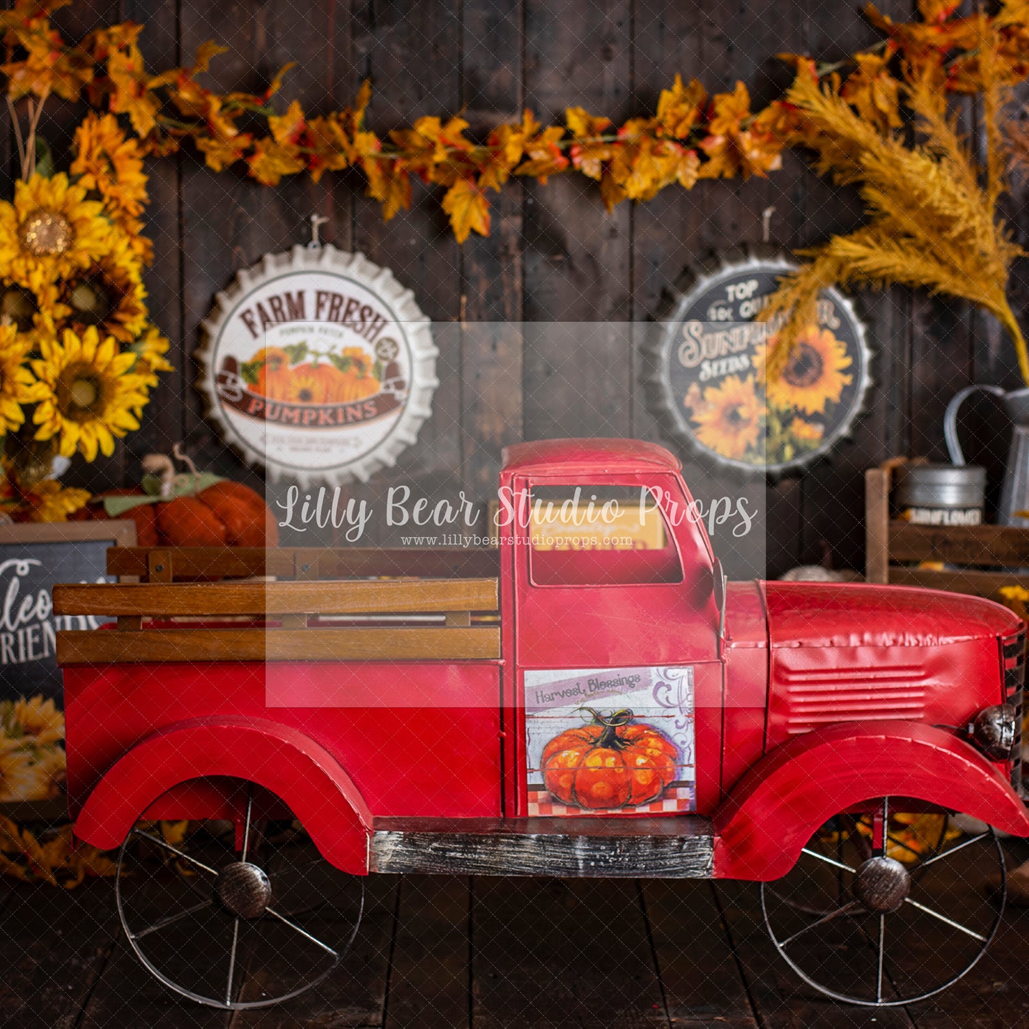 Farm Fresh Pumpkins & Sunflowers