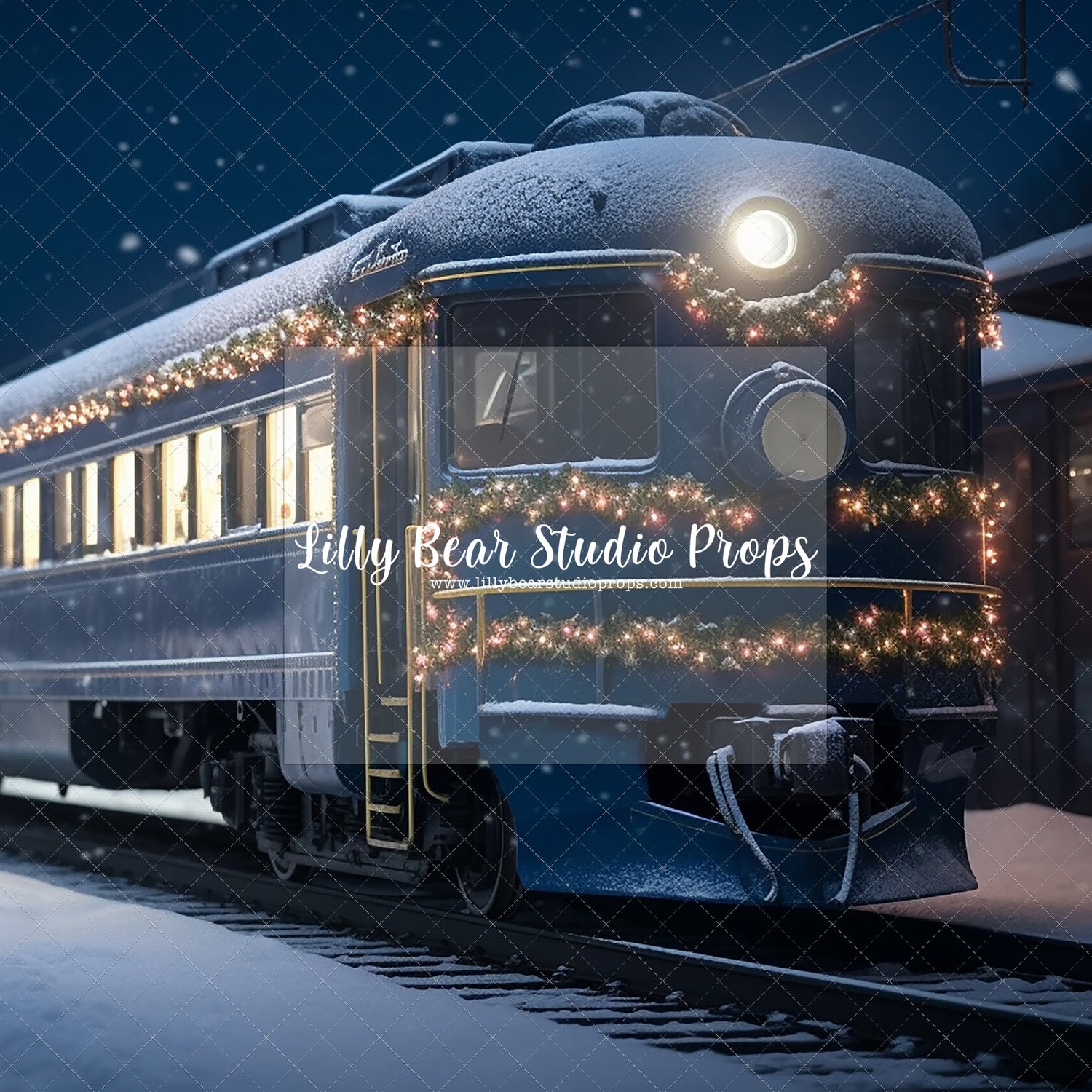 Festive Train Ride