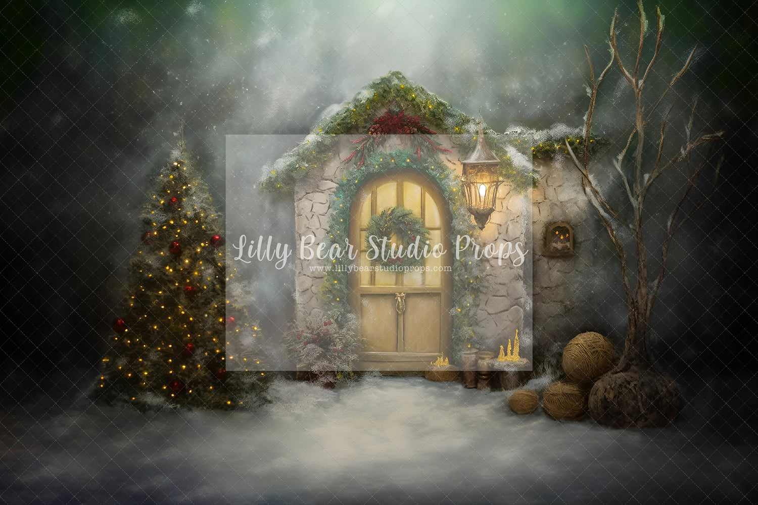 Fine Art Christmas Entry-Encanto Designs 10