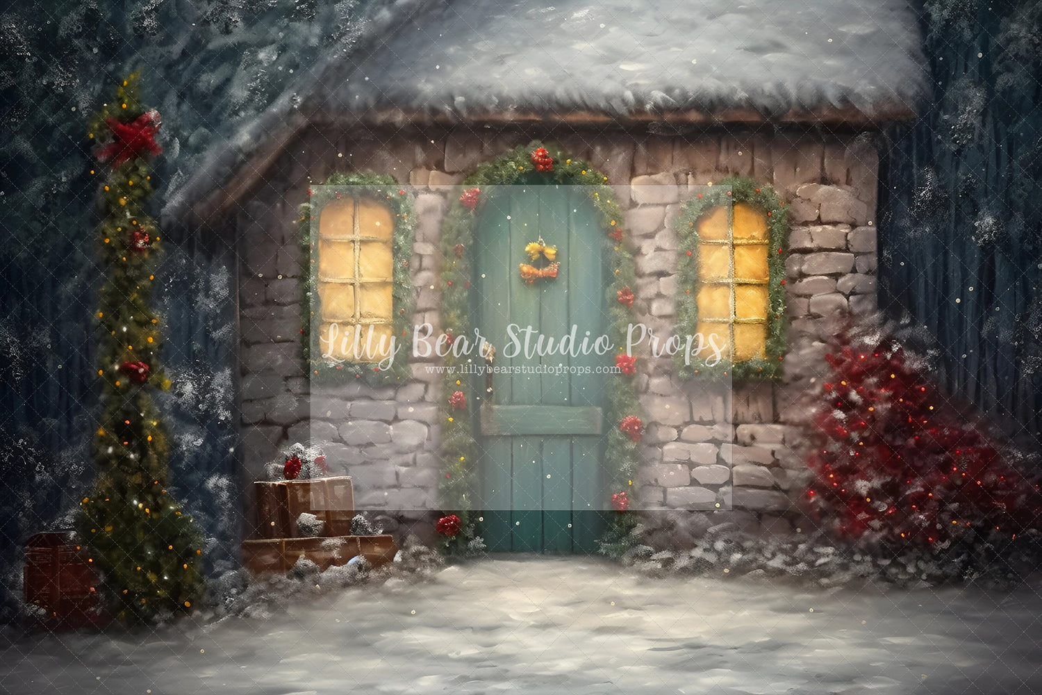 Fine Art Christmas Entry-Encanto Designs 14
