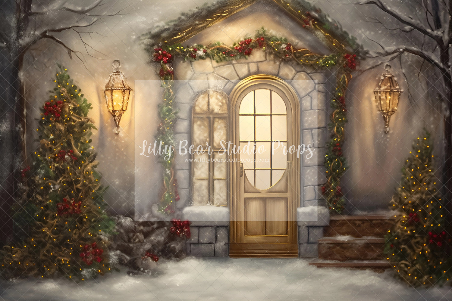 Fine Art Christmas Entry-Encanto Designs 23