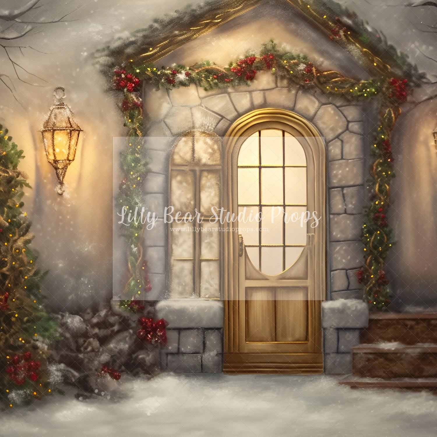 Fine Art Christmas Entry-Encanto Designs 23