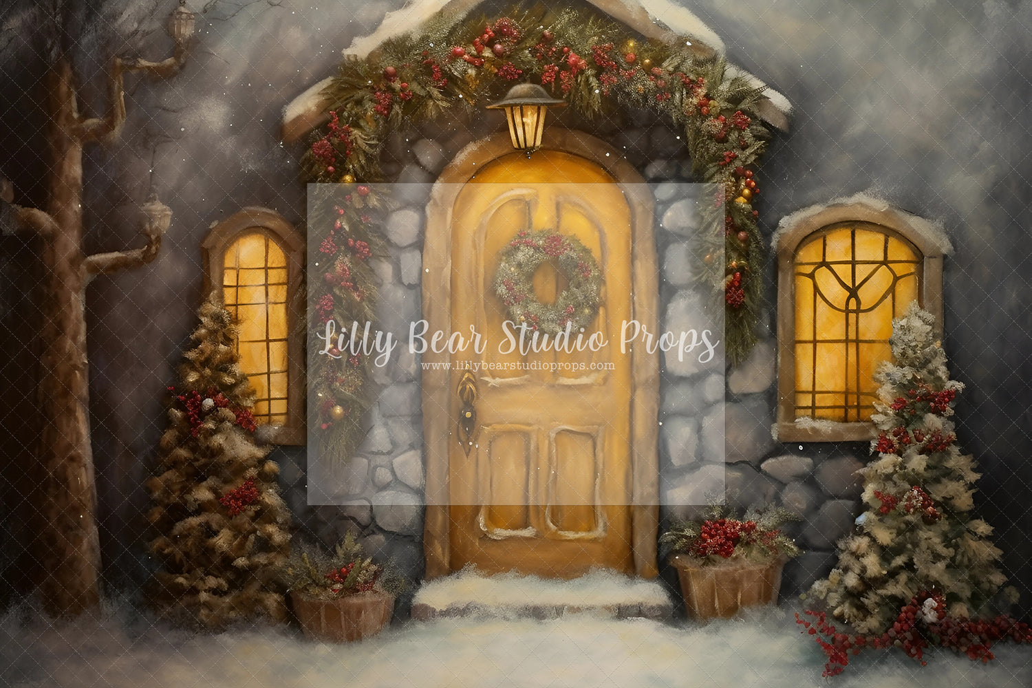 Fine Art Christmas Entry-Encanto Designs 26