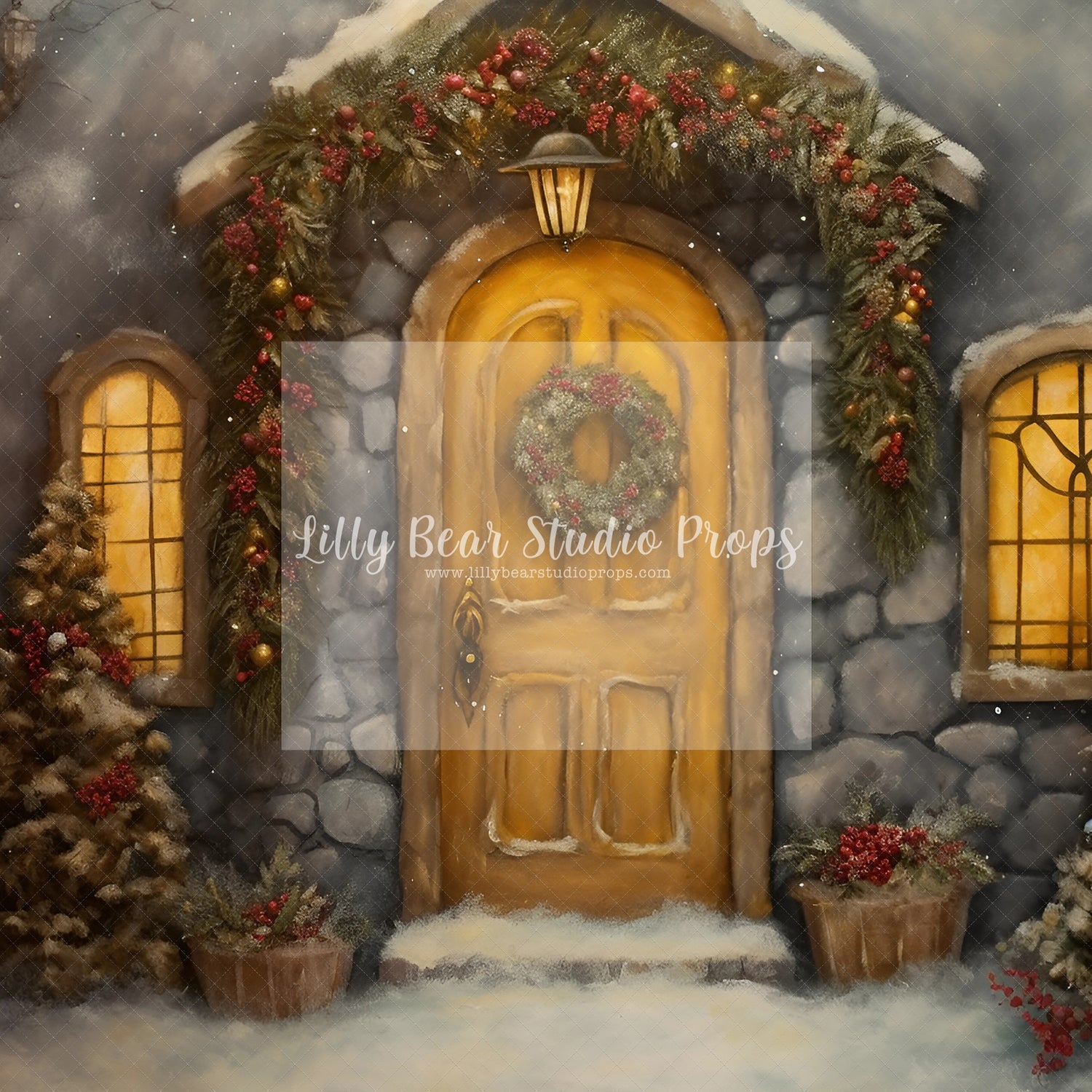 Fine Art Christmas Entry-Encanto Designs 26