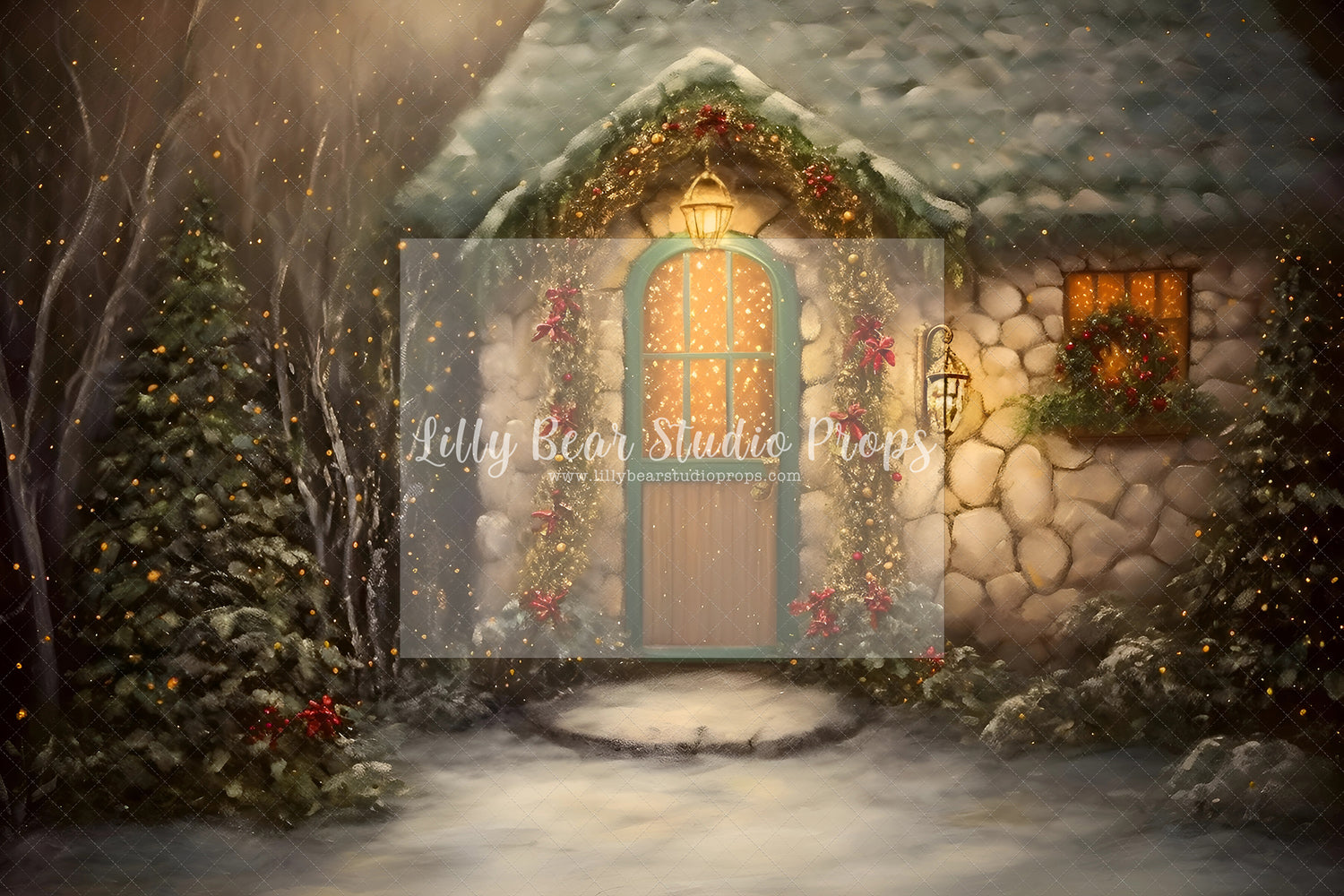 Fine Art Christmas Entry-Encanto Designs 33