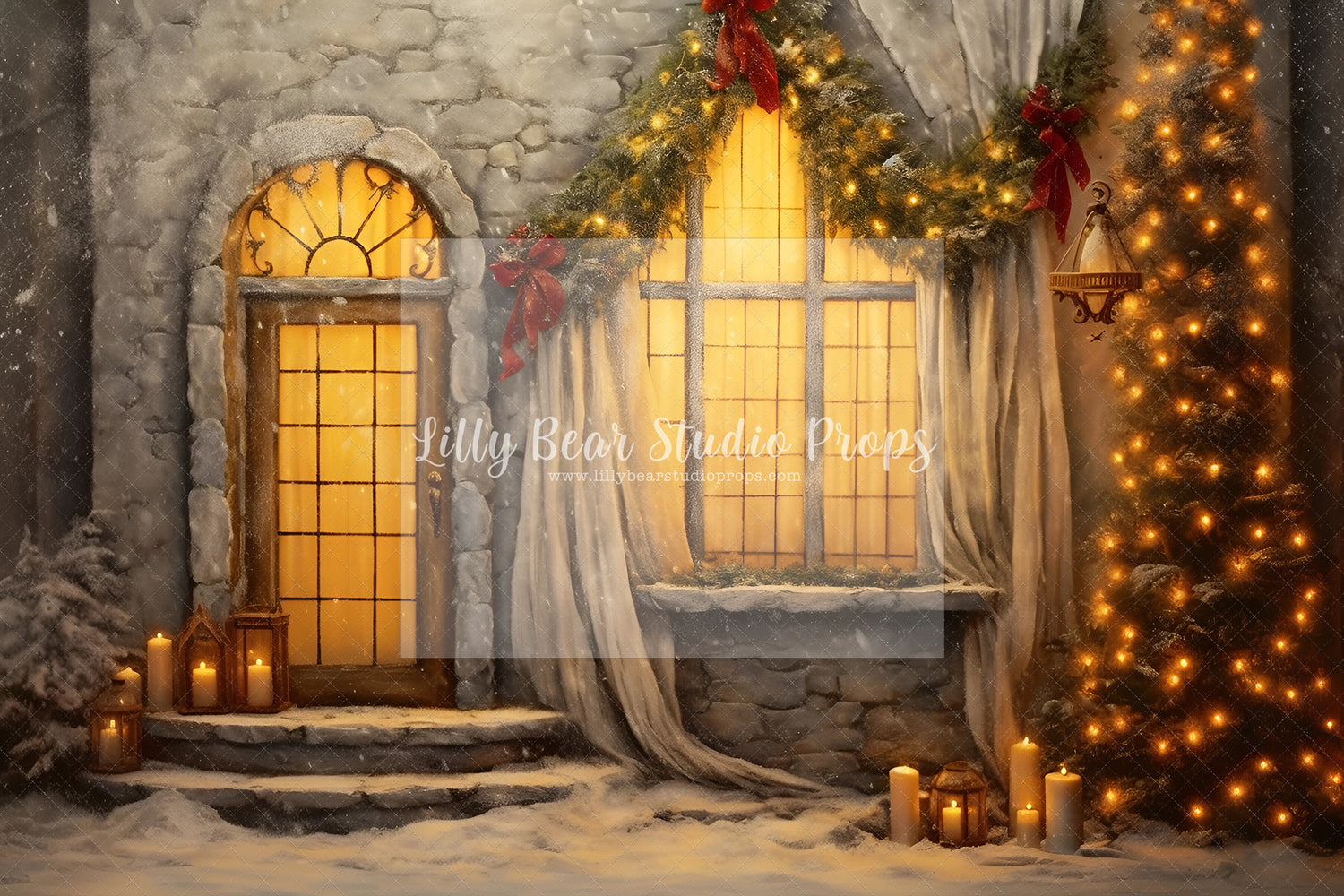 Fine Art Christmas Entry-Encanto Designs 35