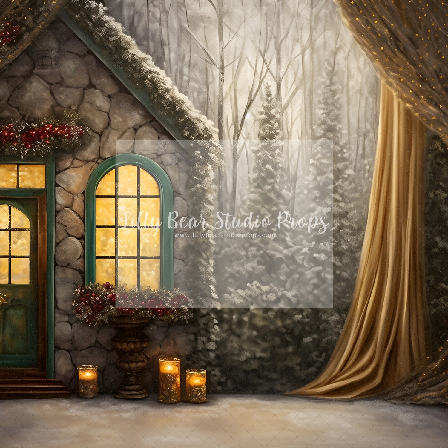 Fine Art Christmas Entry-Encanto Designs 36