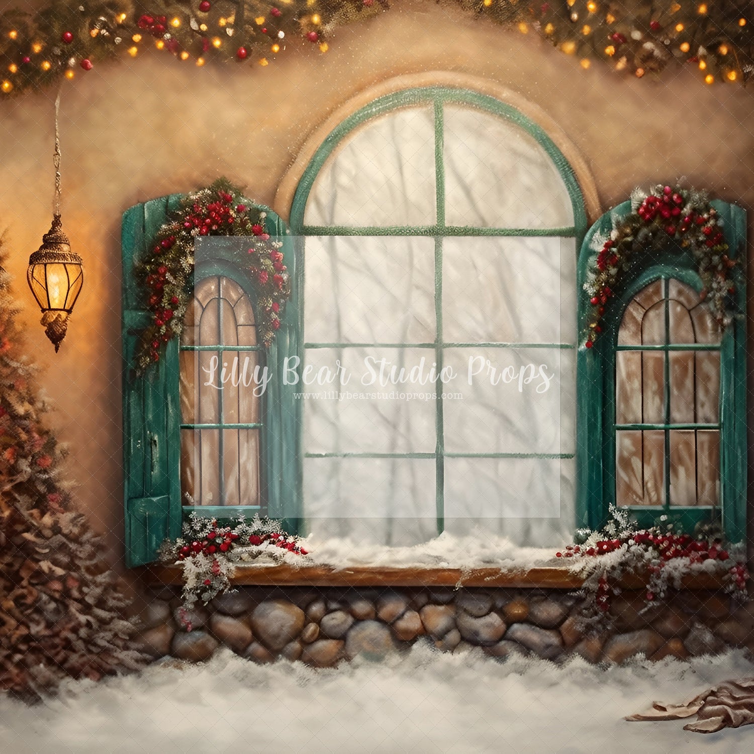 Fine Art Christmas Entry-Encanto Designs 37