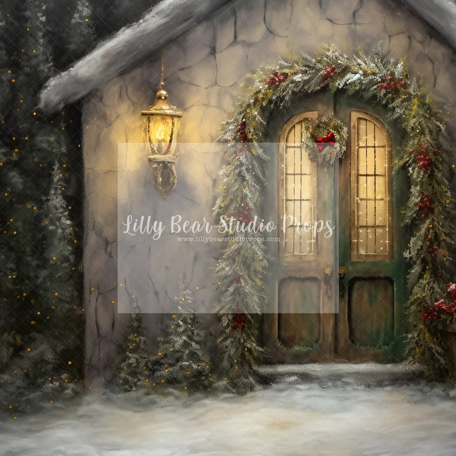 Fine Art Christmas Entry-Encanto Designs 7