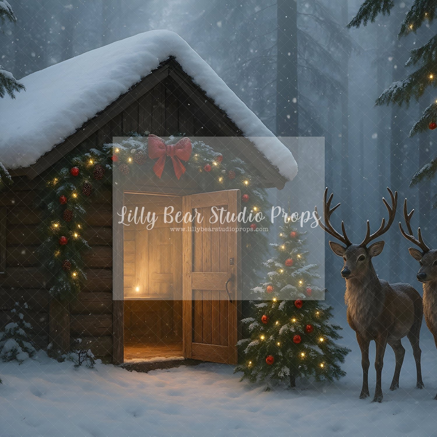 Forest Christmas Haven